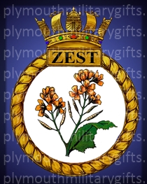 HMS Zest Magnet